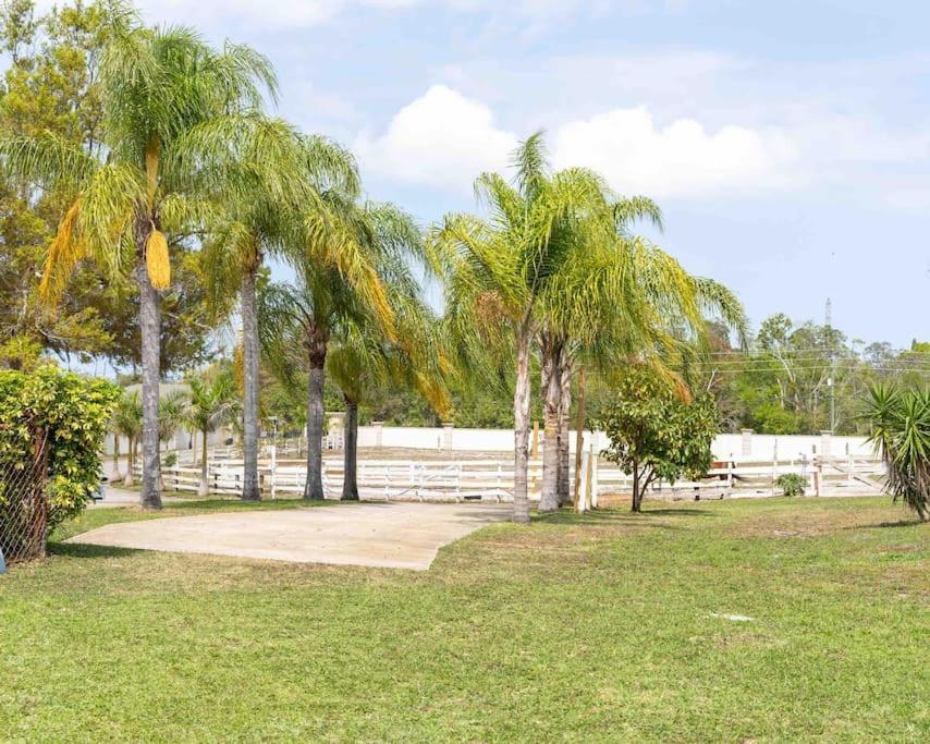 Tampa Bay Oasis Leilighet Tarpon Springs Eksteriør bilde